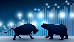 Stock market design of bull and bear with graph and chart vector