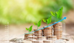 Tree growing on coins stack with sun ray for saving money concep